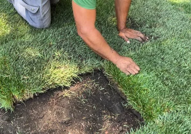 Outdoor green system